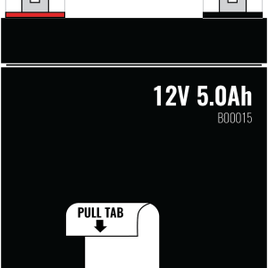 B00015 Replacement Battery