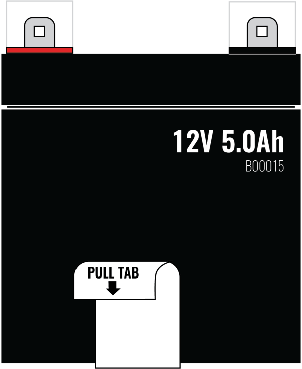 B00015 Replacement Battery